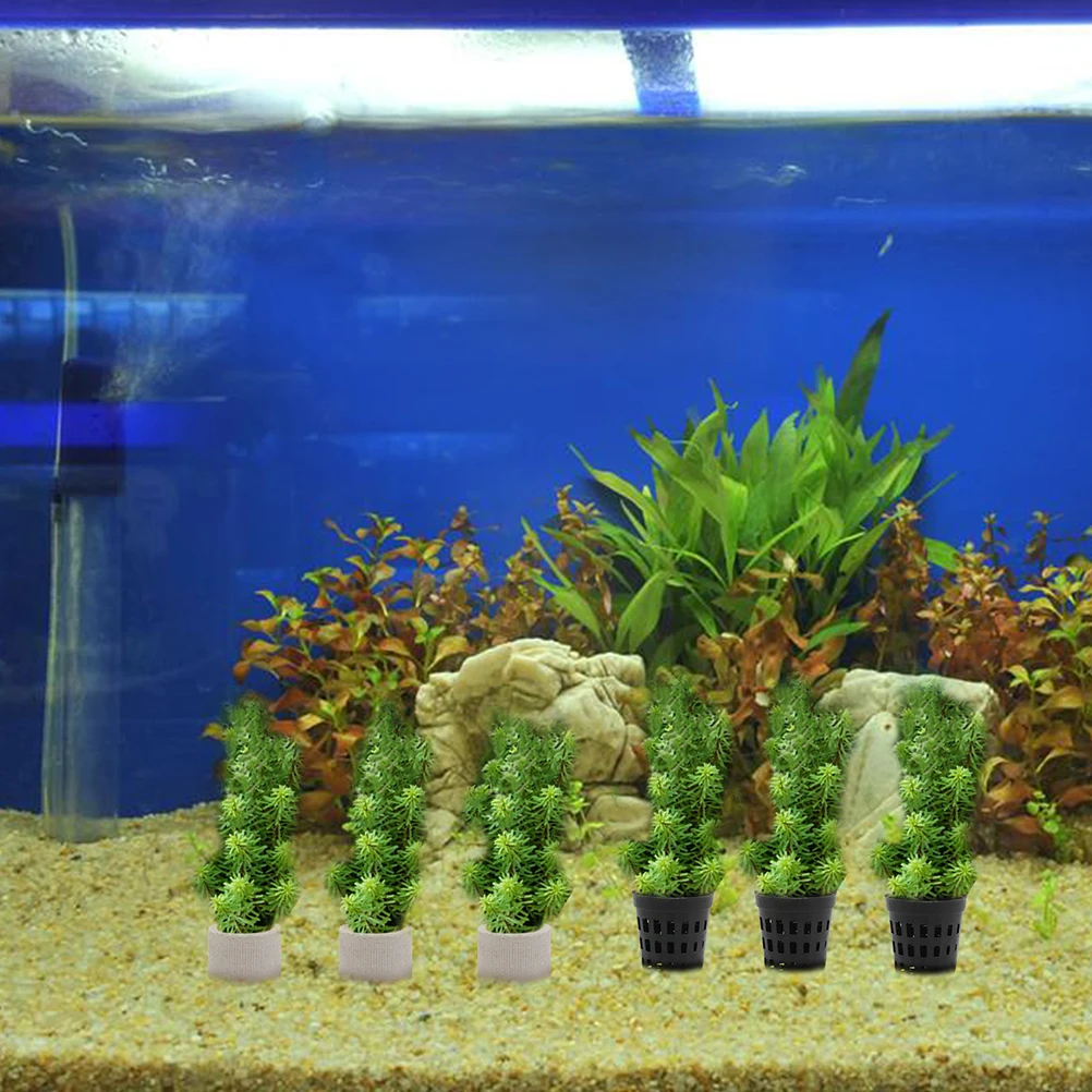 

1Set Water Plant Fixing Ring Premium Material Fish Tank Water Plants Holder Aquarium Plant Cup Easy Installation