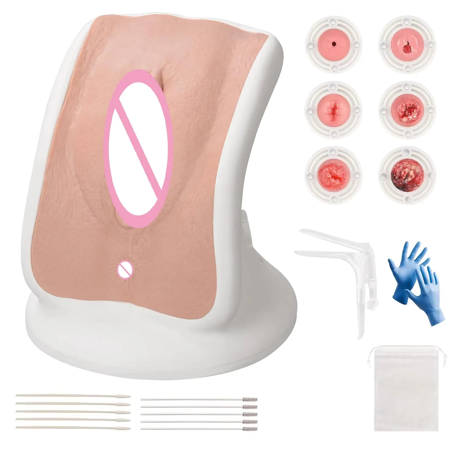 Durable Gynecological Examination Model 6 Replaceable Cervical Pathologies Silicone Skin for Medical Students Healthcare Learner