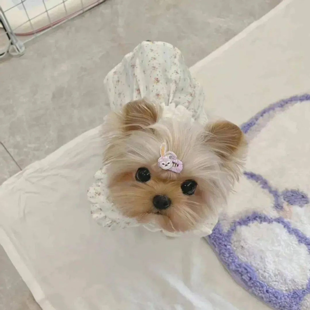 GPM Shock Caps Spacers voor TRAXXAS 1/8 Sledge Monster Truck 95076-4