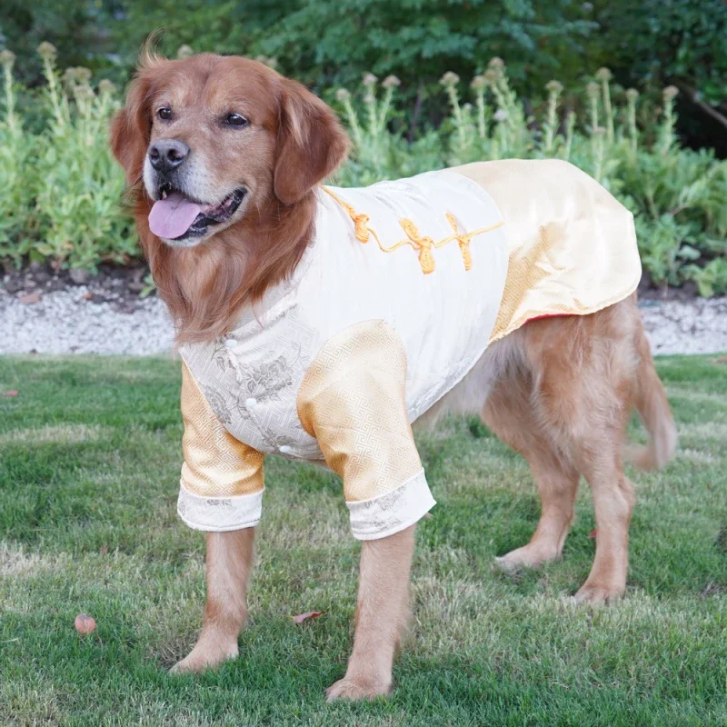 

Chinese New Year Large Dog Clothing Cheongsam Big Dog Coat Tang Suit Corgi Husky Labrador Golden Retriever Clothes Pet Costume