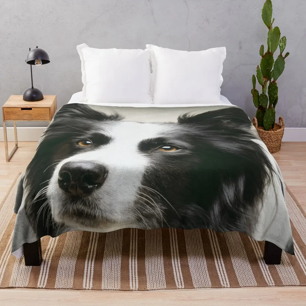 Working Border Collie Throw Blanket Bed Fashionable Vintage Custom Blankets