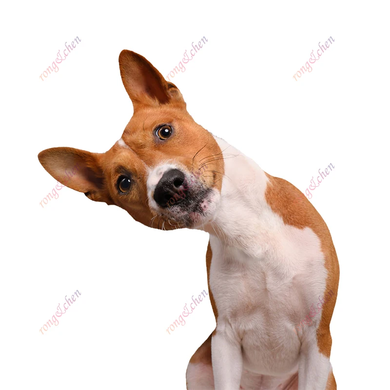 

Animal Car Sticker Basenji Dog Pet for Car Motorcycle Racing Helmet Laptop Trunk Body Car Window Surfboard Waterproof PVC Decals