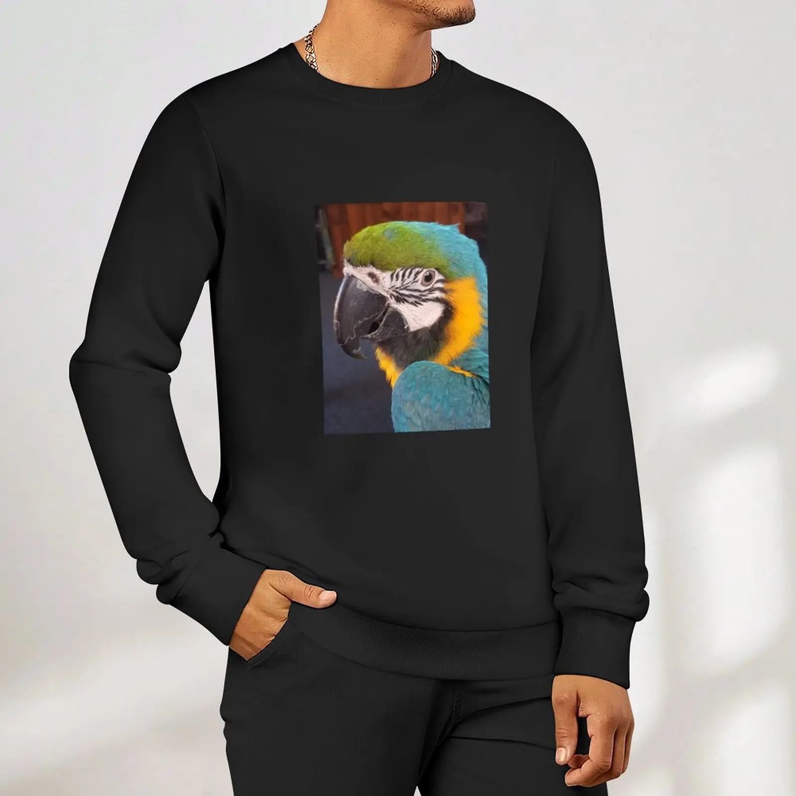 Gideon the macaw Pullover ملابس رياضية للرجال ترتدي بلوزات الخريف الرجالية