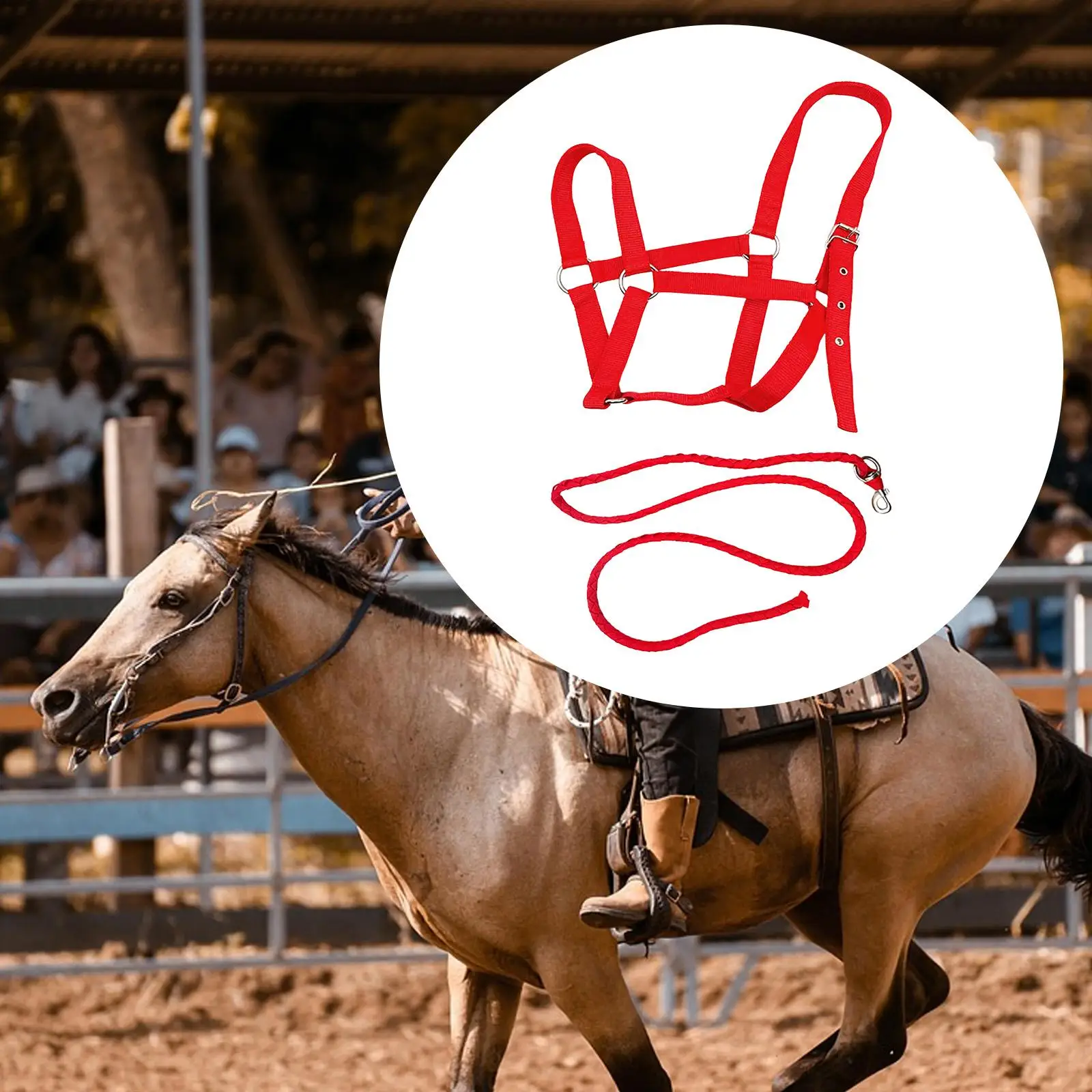 Комплект для лошади: недоуздок с поводком, удобные конные принадлежности для конюшни, уздечка для лошади, для транспортировки на ферму и пастбище Комплект для лошади: недоуздок с поводком, удобные конные принадлежности для конюшни, уздечка для лошади, для транспортировки на ферму и пастбище