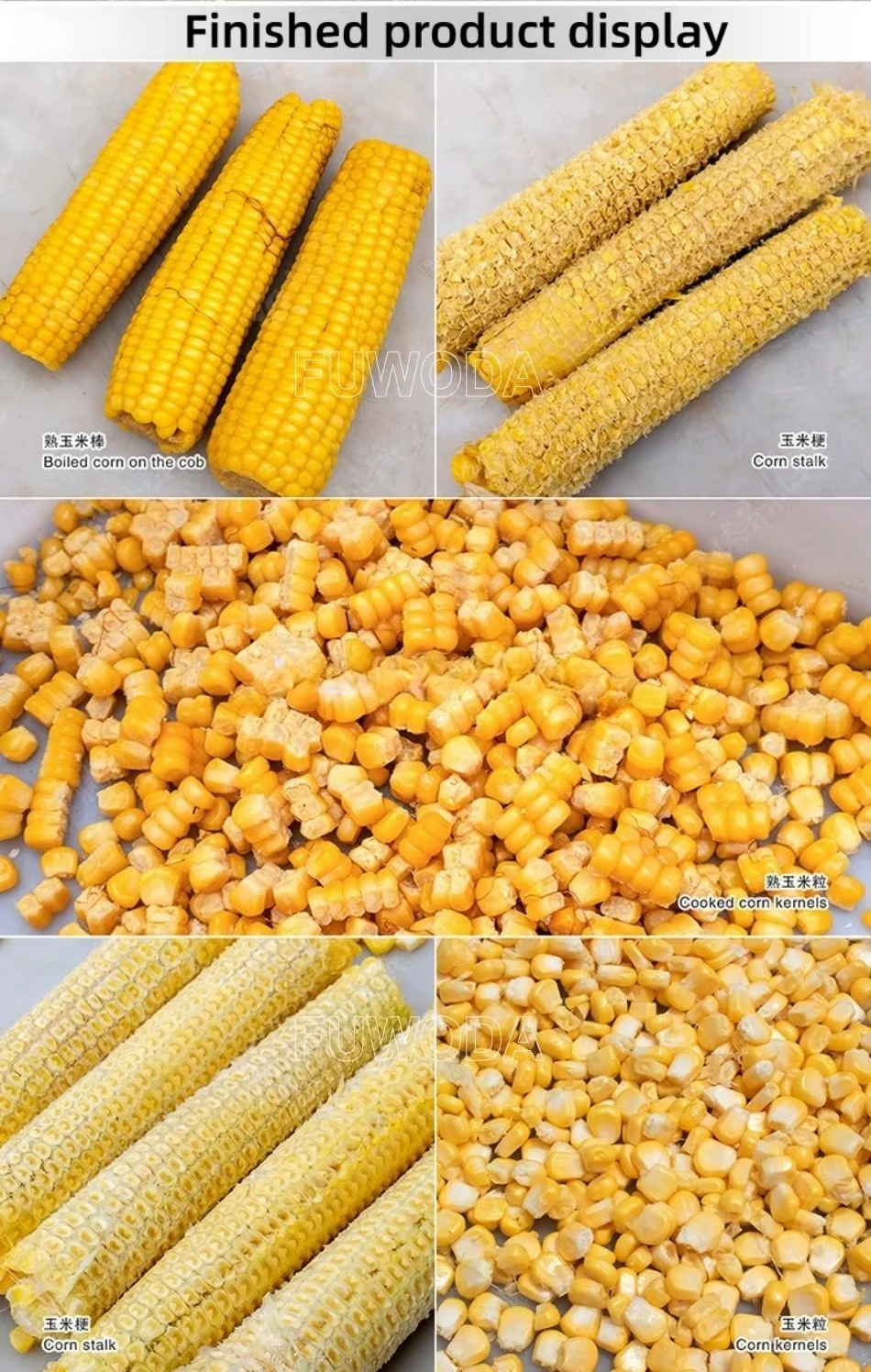 Factory Directly Sale Fresh Sweet Maize Corn Shelling Thresher Machine Sweet Fresh Corn Threshing Maize Sheller Thresher