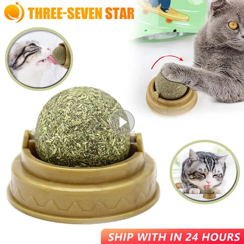 Pet Catnip Ball Toys Edible Kitty Toys For Cats Lick Healthy Chew Toys Teeth Cleaning Wall Treats Toy The Stomach Catmint