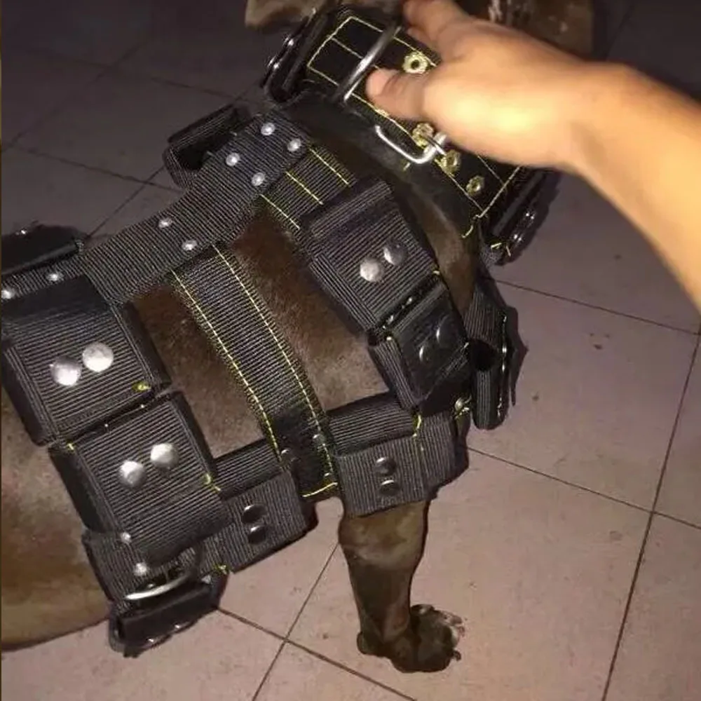 DOG Large Medium Small Empty Shell Weight Carrying Strap Workout Vest with Pockets Power Training Harness S-XL