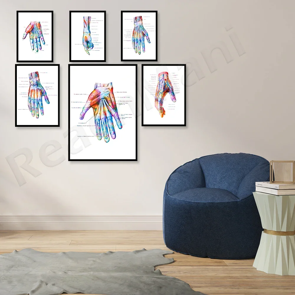 Hand Anatomy Print Set 6-piece Wrist Muscles and Ligaments Print Chiropractor Hand Surgery Gift Medical Art Poster Clinic Decora