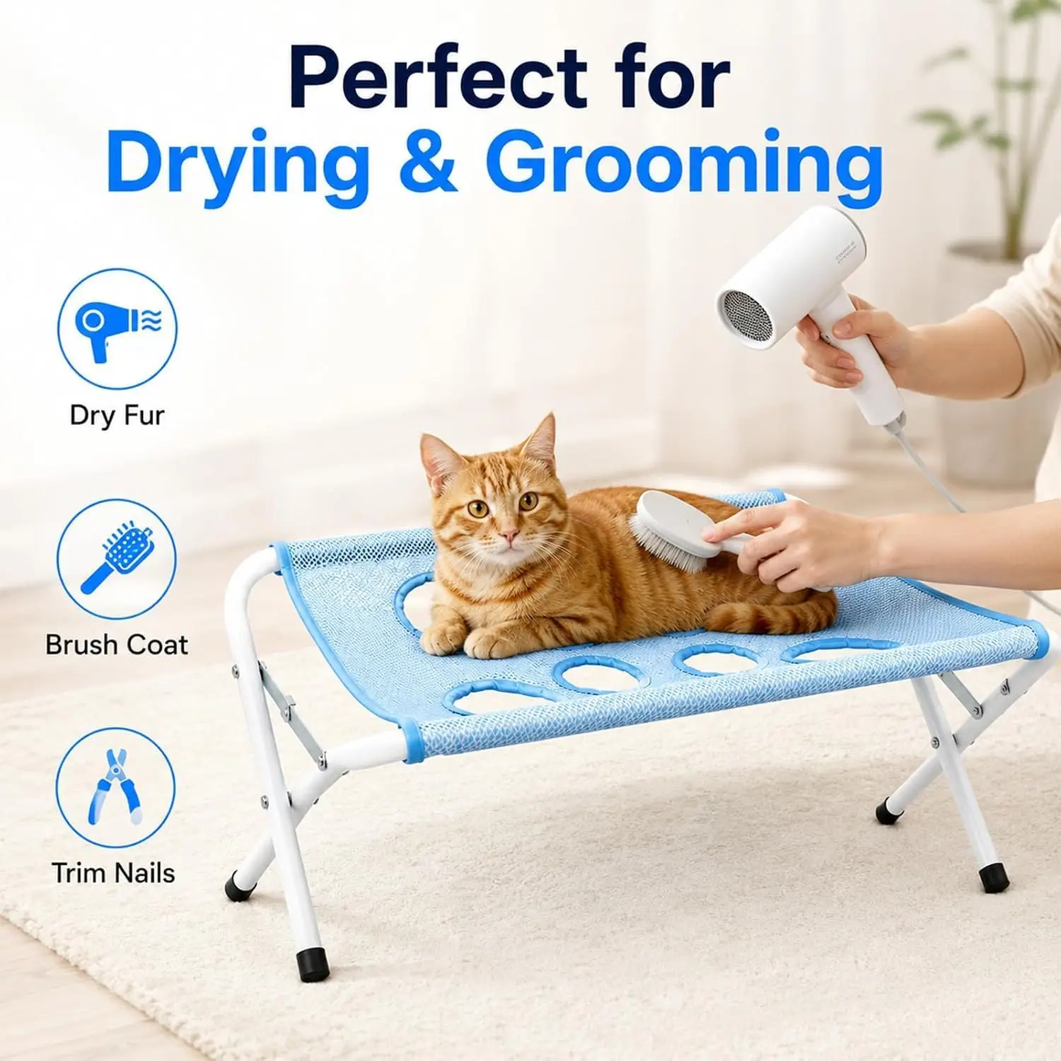 Thumbnail 4 - #81 Best Cat Grooming to Buy In 2026