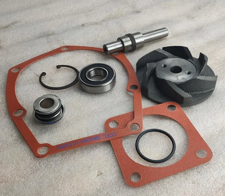 NT855 NTA855 diesel engine water pump repair kit 3801712