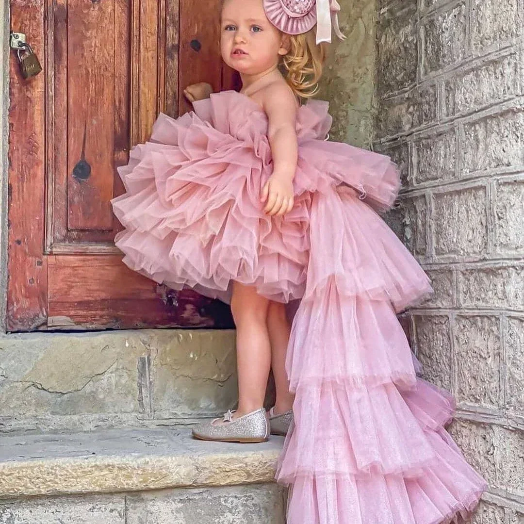 

Flower Baby Girl Dress Pink Puffy Tutu Tiered Skirts Little Girl Princess Wedding Birthday Party First Communion Holiday Gown