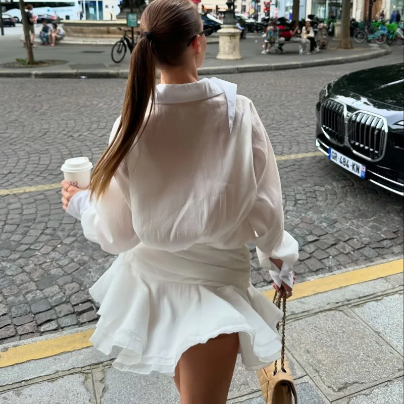 Talenza See-through Chiffon Casual Mini Dress Women's Summer Loose Slim Shirt Dress Solid Color Long Sleeve Ruffle Mini Dress