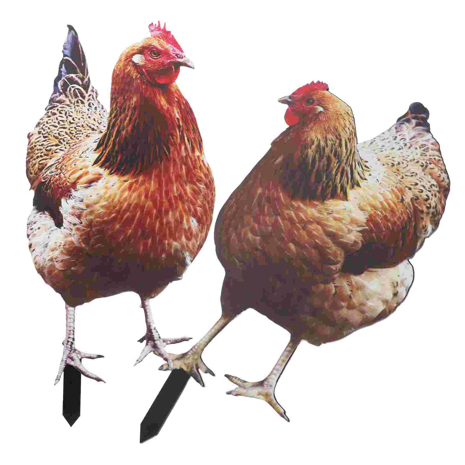 2 Pcs Chicken Garden Decoration Sign Signage Hen Stake Acrylic Yards Decorative