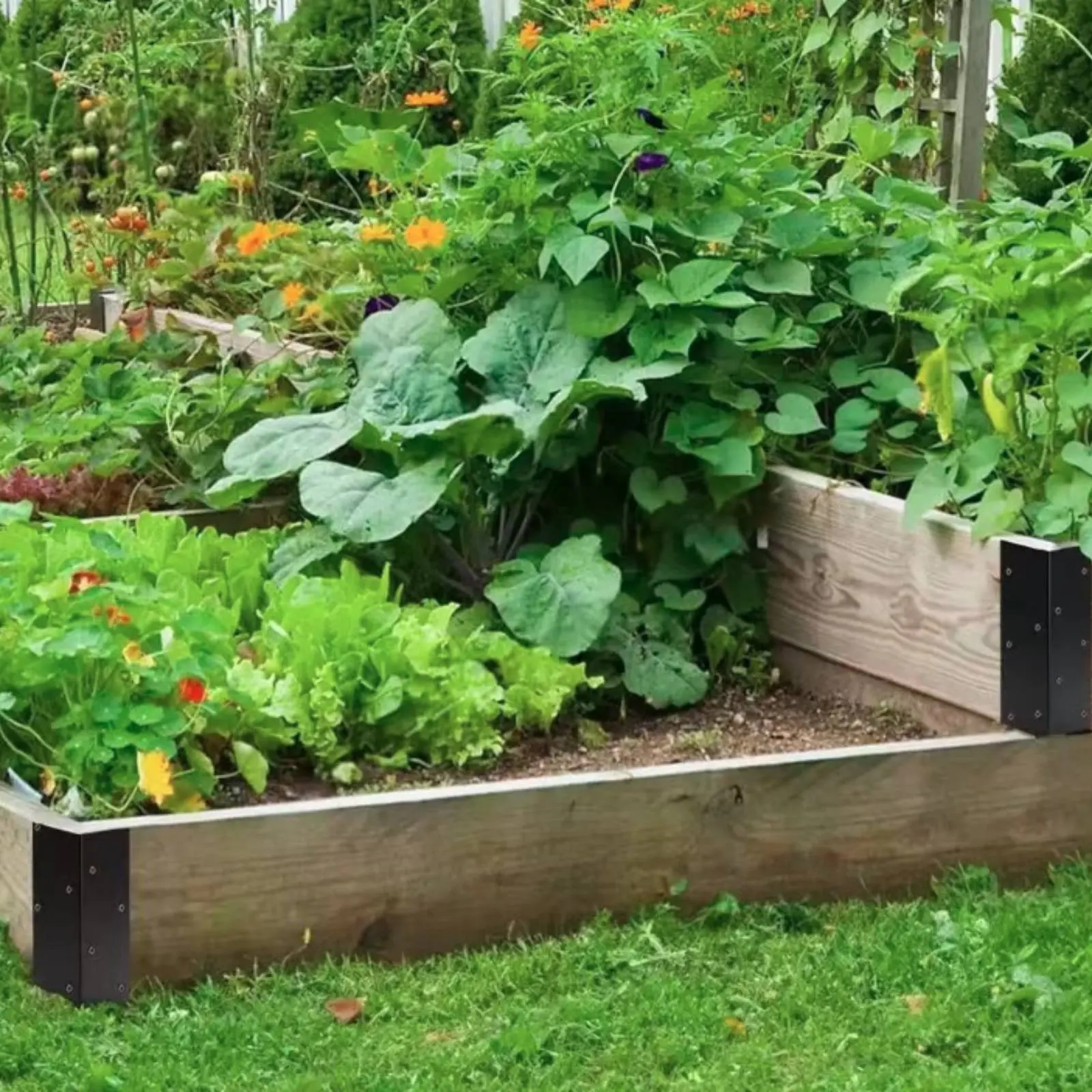 Raised Bed Corner Bracket Iron Metal Garden Bed Bracket Raised Planter Corner Support Rust-Resistant Hardware Heavy-Duty
