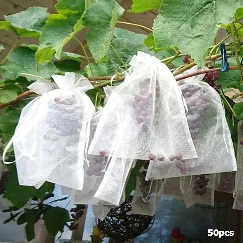 50 stks Fruit Bescherming Zakken Anti-Vogel Tuin Netting Zakken Aardbei Druiven Netje Plante Groente Netting Cover Tuin gereedschap