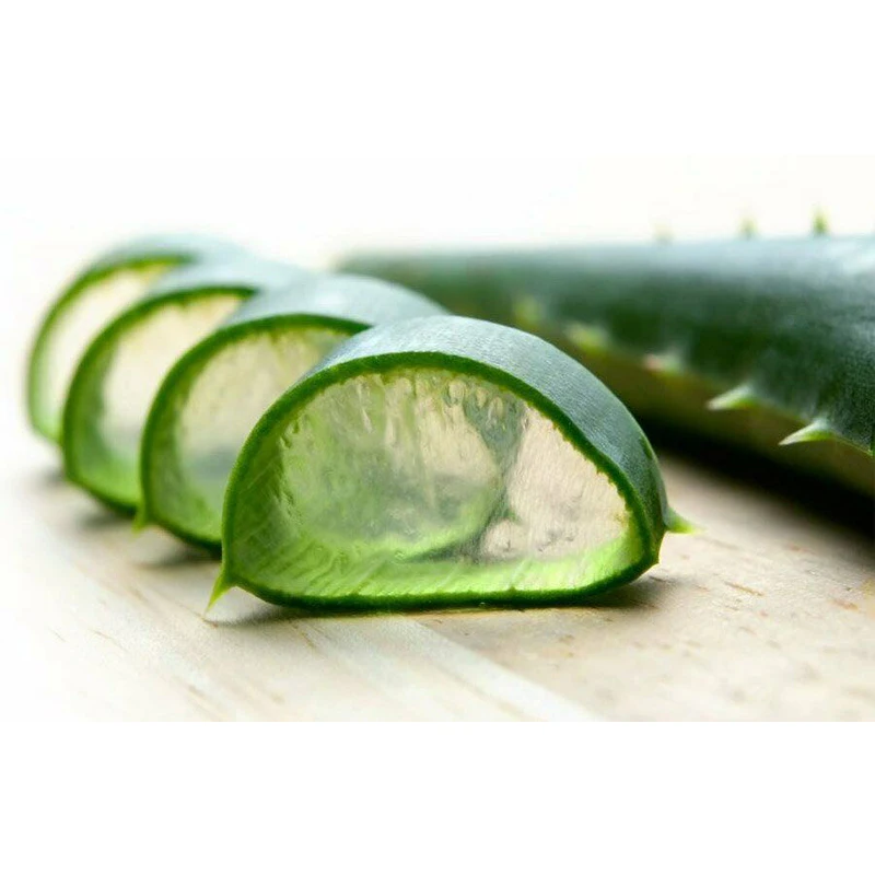 Gel d'aloe vera biologique pur pour la réparation de la peau sensible, hydratant, affine les rougeurs de Charleroi, après peeling chimique, 100%