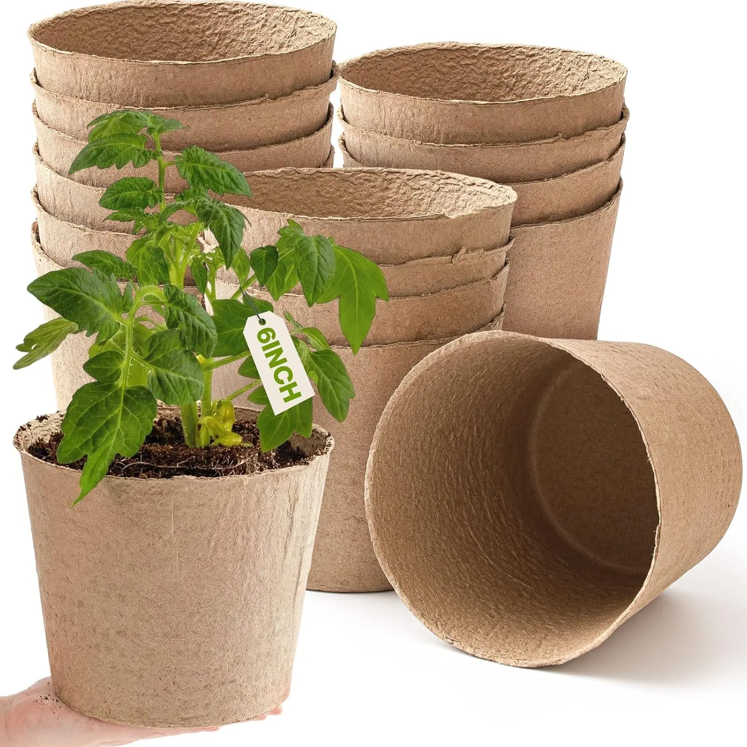 

16 Pcs Peat Pots 6 Inch Biodegradable Organic Seed Starting Pots with Drainage Holes Round Nursery Plants for Vegetables