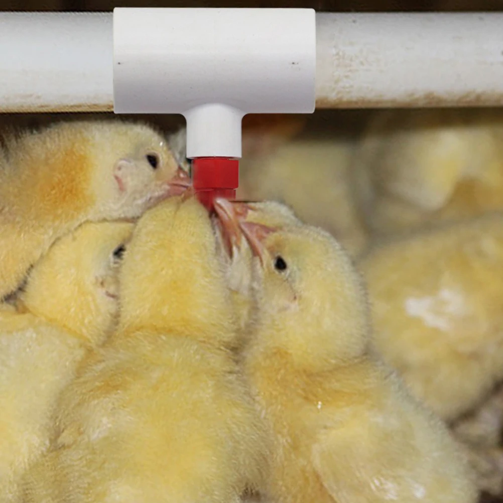 

10pcs Chicken Waterer Tee Pvc Fittings Automatic Drink Fountain Equipment For Poultry Farm Duck Goose Quail Rabbit System