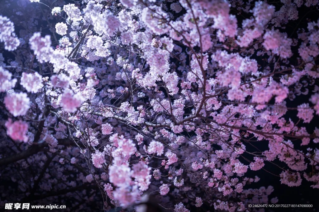 

Передний и задний пластиковые портальные мосты Currie F9 в сборе для Axial Capra UTB10 1.9 UTB 1/10 RC Crawler Car, запчасти для тюнинга