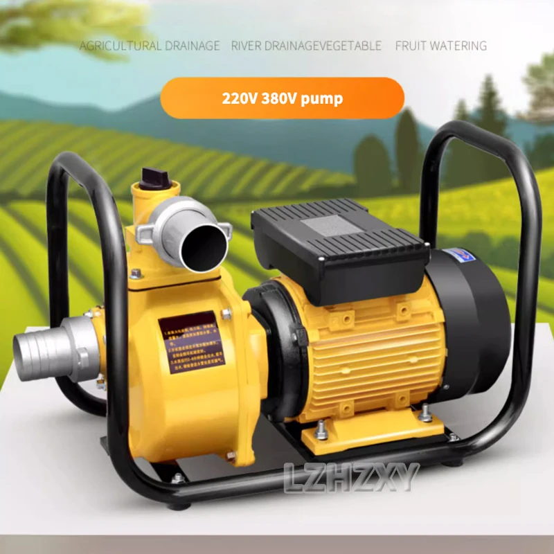 Agricultural Irrigation Water Pump Self Priming Water Pump High Flow 75mm Caliber Water Intake for Agricultural Water 220/380v