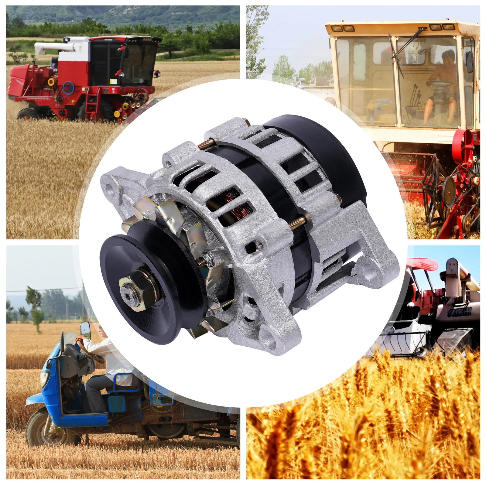 2000W 24V Synchronous Generator PMA Low Rpm Alternator Permanent Magnet  Pure Copper Brushless for Agriculture/Farming