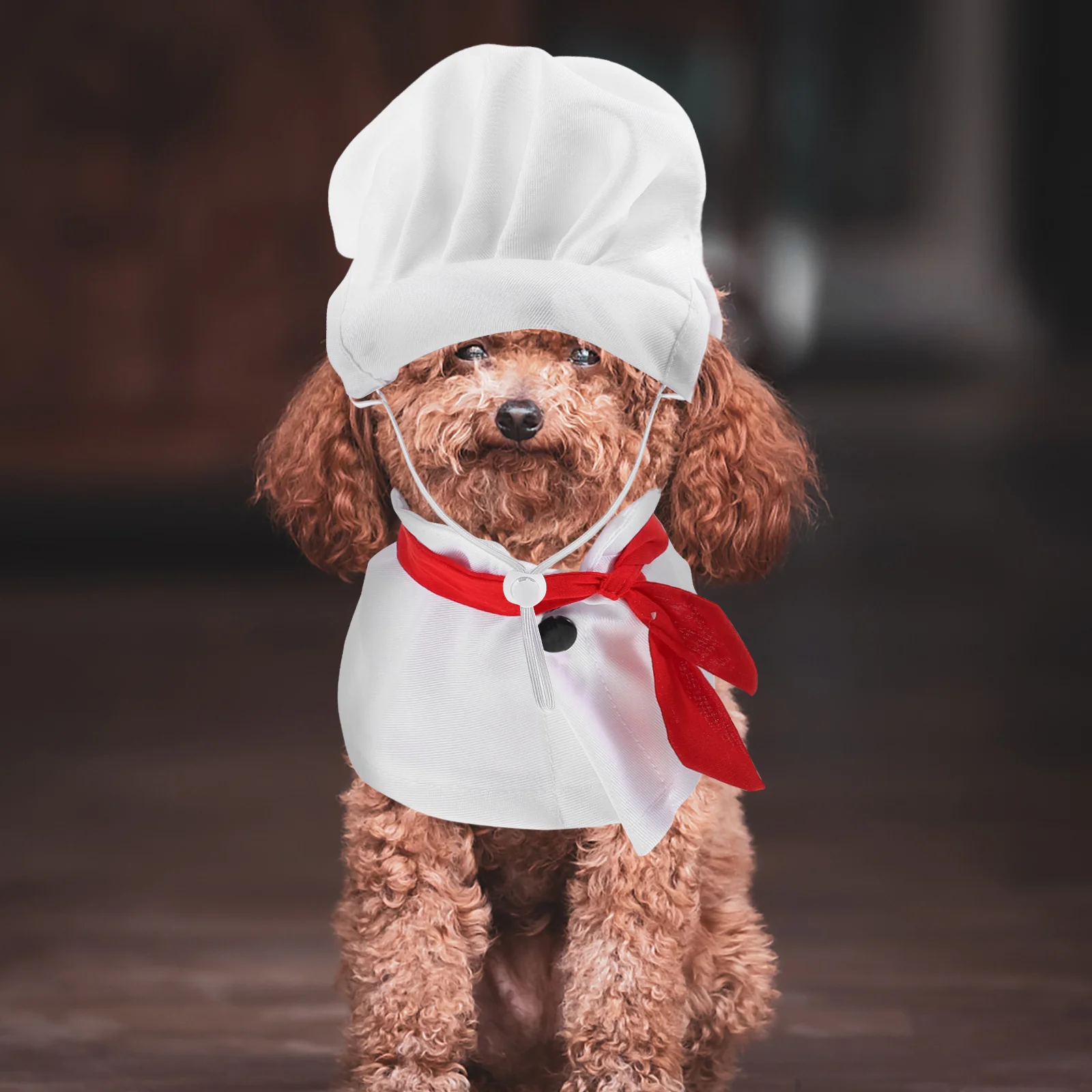 

1Set Funny Pet Chef Costume Including Puppy Cook Outfit Animal Baker Hat Dog Kitchen Uniform Funny Dog Costume
