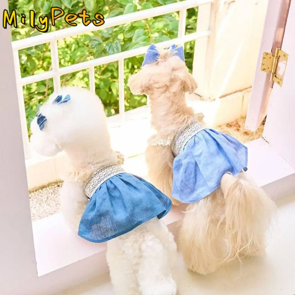 

Pet Supplies Lace Pet Lace Denim Dress Breathable Thin Pet Clothes Comfortable Soft Cat Princess Skirt Spring