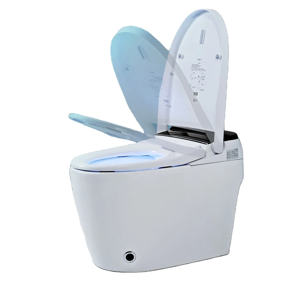 Remote Control Low Moq 110v Modern Siphon Jet Flushing One Piece Smart Toilet