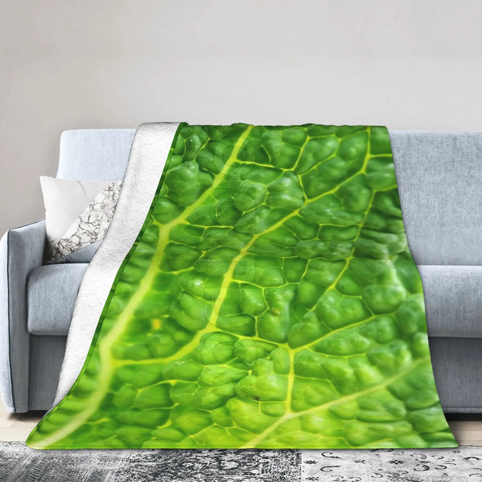 New Arrival Cabbage  Blanket Soft Fleece  Comfortable Throw Blanket Machine Washable