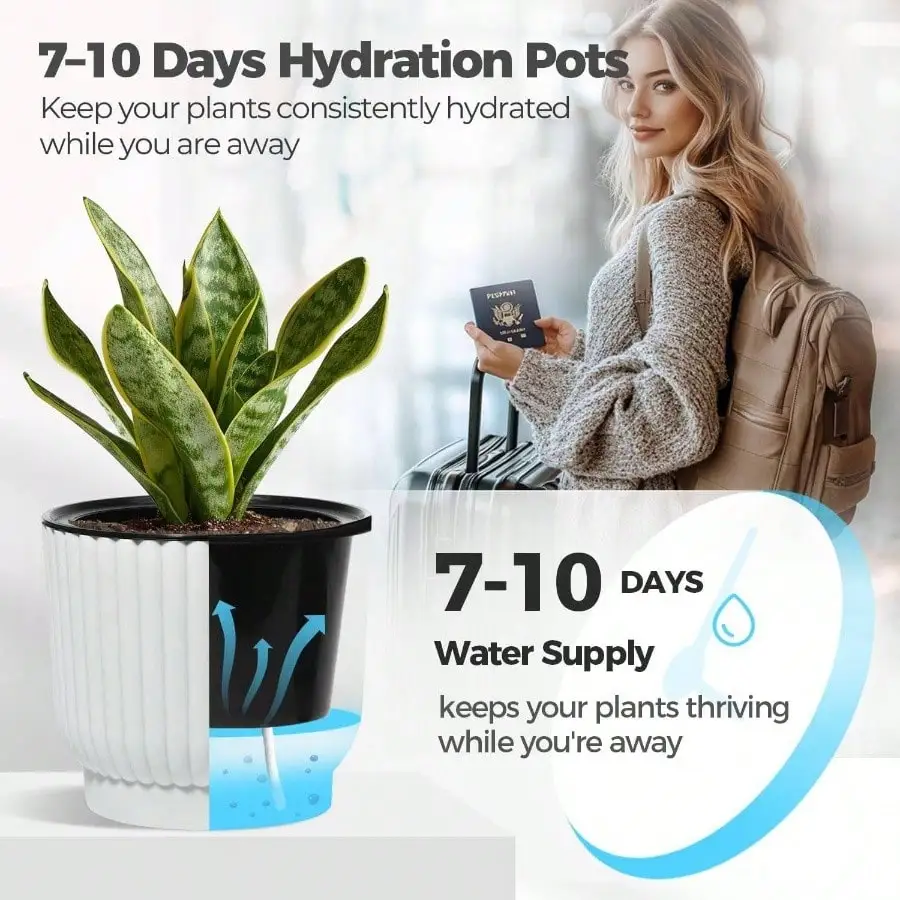 Doniczki samozraszające się o średnicy 11,5 cm, zestaw 6 sztuk, doniczki na fioleci afrykańskie, małe rośliny doniczkowe, małe doniczki do wnętrz, białe