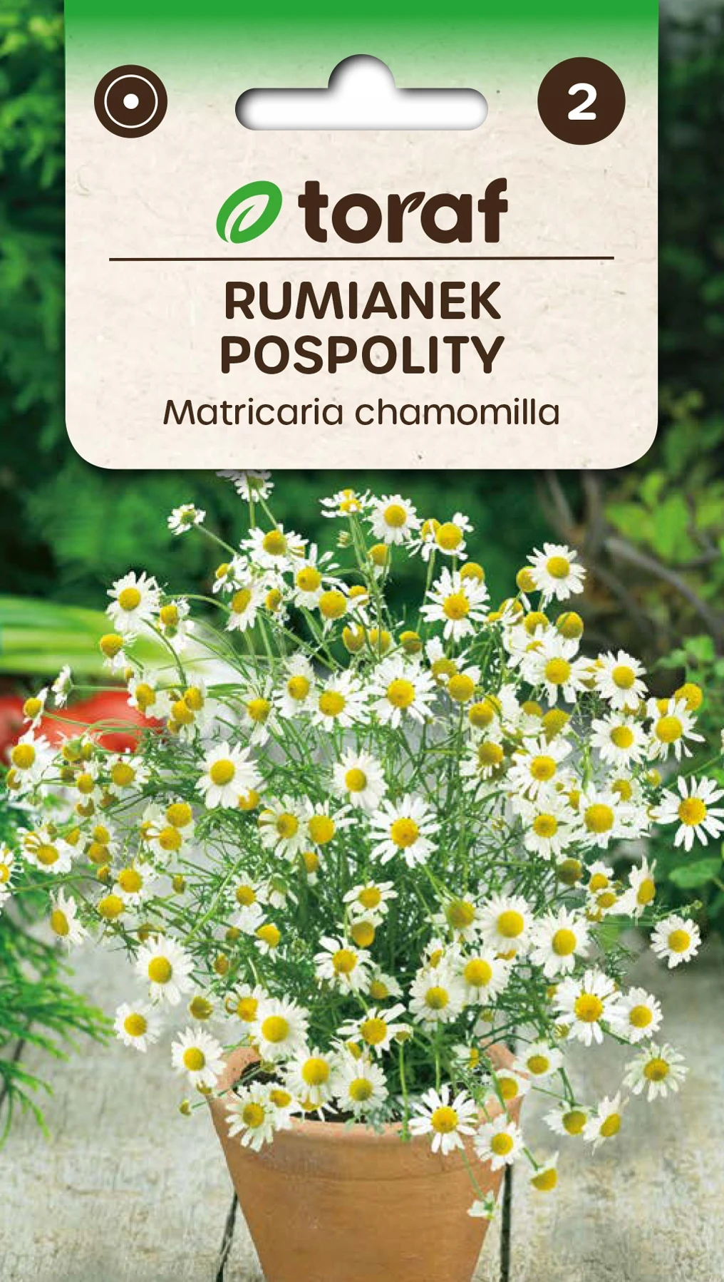 Semillas de Hierbas: Manzanilla, Hierbas Comunes para Jardín - Toraf 311