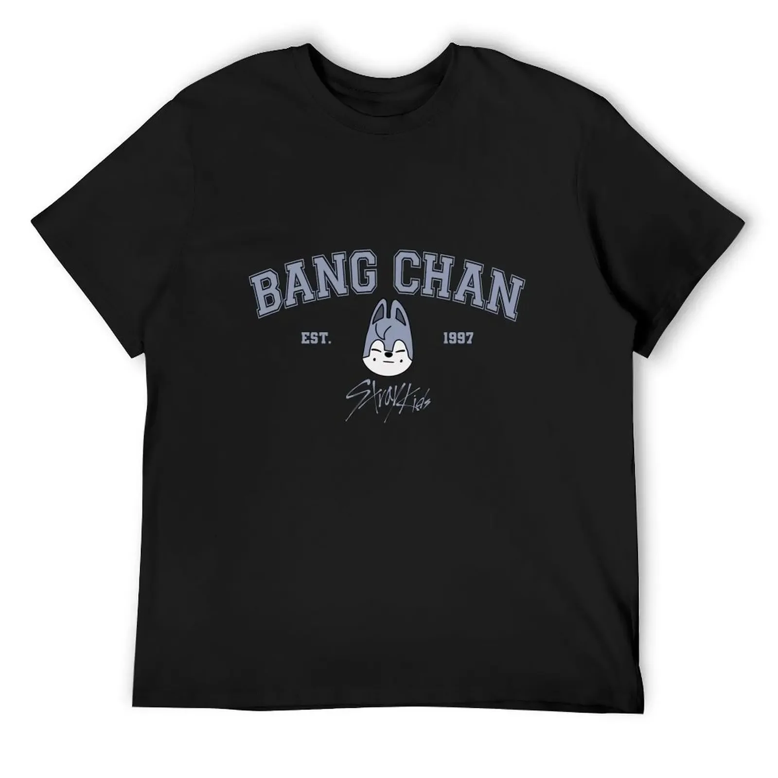 Bang Chan T-Shirt summer top Aesthetic clothing cheap stuff graphic tee shirt mens graphic t-shirts big and tall