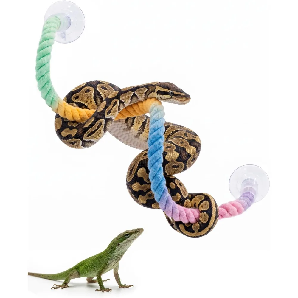 Corde d'escalade flexible pour terrarium avec ventouse puissante, jouet d'enrichissement pour python ball, jouet d'escalade pour serpent de maïs