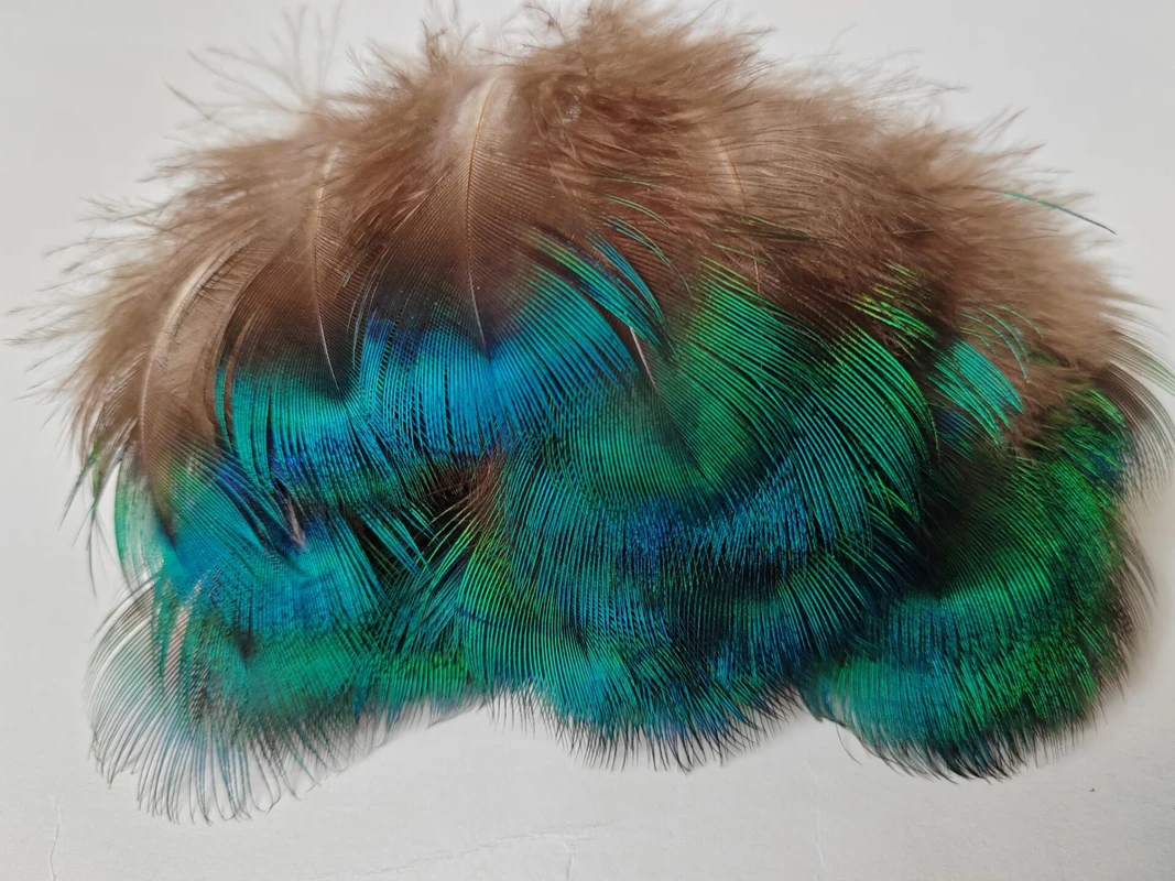 

100Pieces 5-7cm Nature Blue Green Peacock BODY PLUMAGE FEATHERS, Peacock Plumes for Jewelry Making Plumas Decorative,Fly Tying