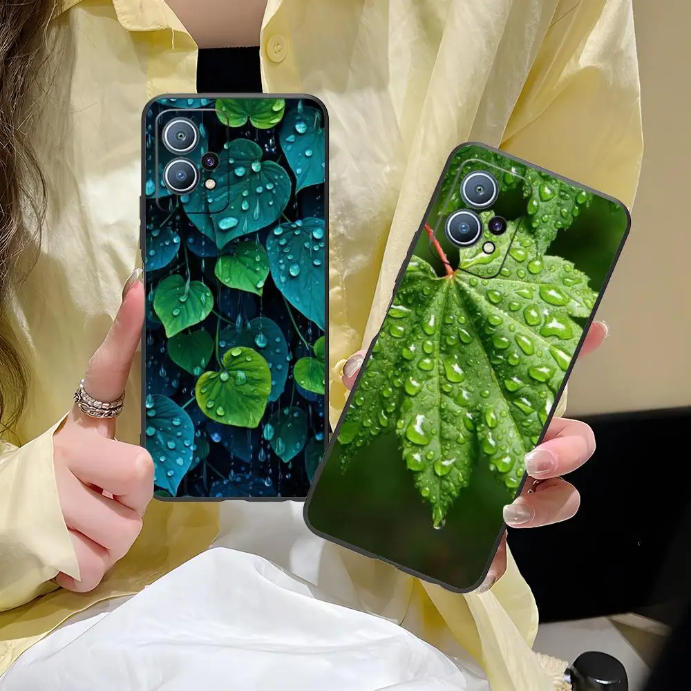 Dew Leaves Flowers …