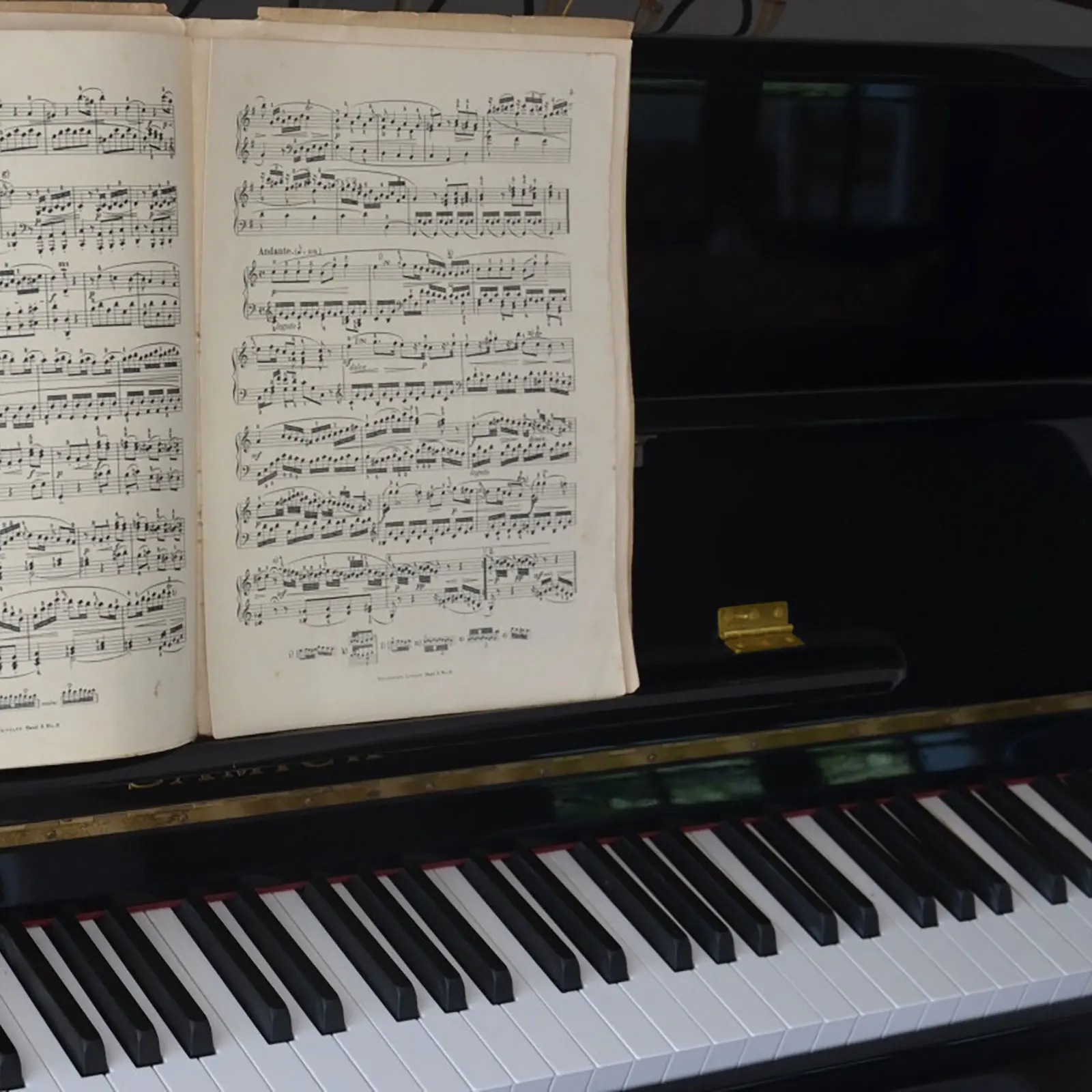 

4Pcs Piano Hinges Small Copper Butt Hinges Thick Bearing Heavy Duty Smooth Quiet for Cabinet Door Jewelry Box Storage