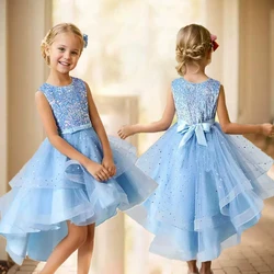 Christmas Carnival Ball Fluffy Birthday Party Dresses for Girls New Girl Embroidery Sequins 3-12 Year Old Girl Princess Dress