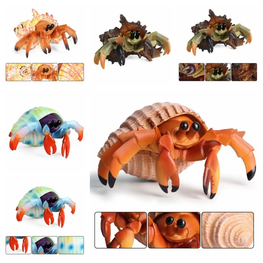 Realistic Animal Model Hermit Crab Model Figurines Sea Life Toys Plastic Solid Marine Plastic Toys Collection