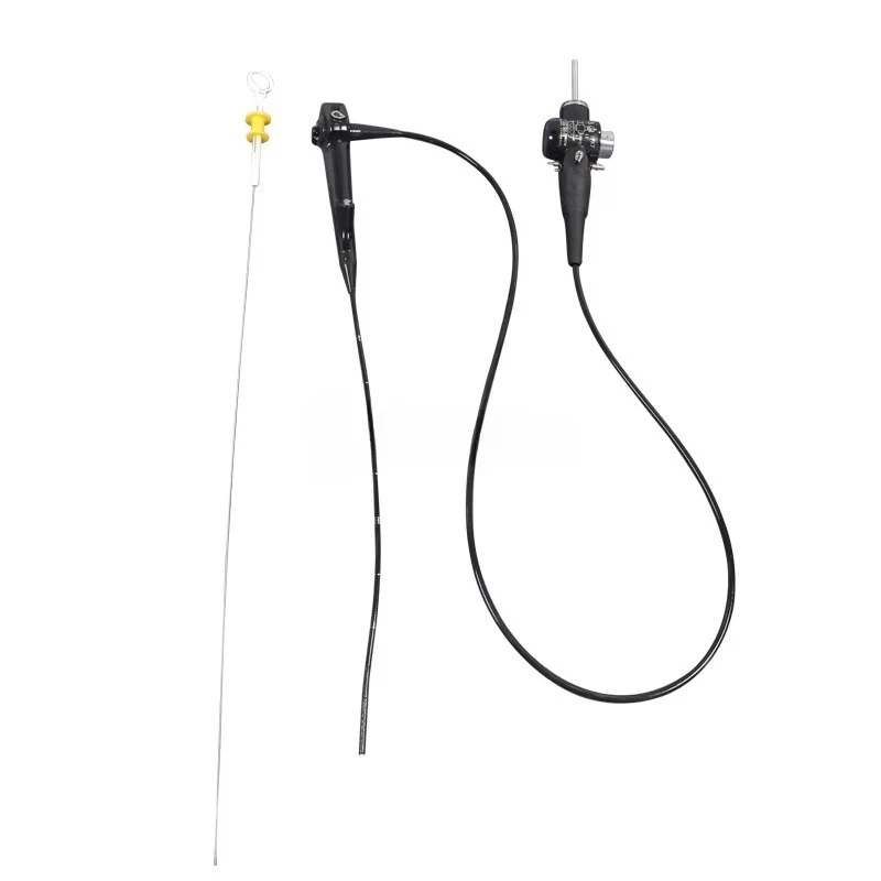 SY-P033 Portable 1080P ull high definition Veterinary Rigid Endoscopy System for Animal Examination and Surgery