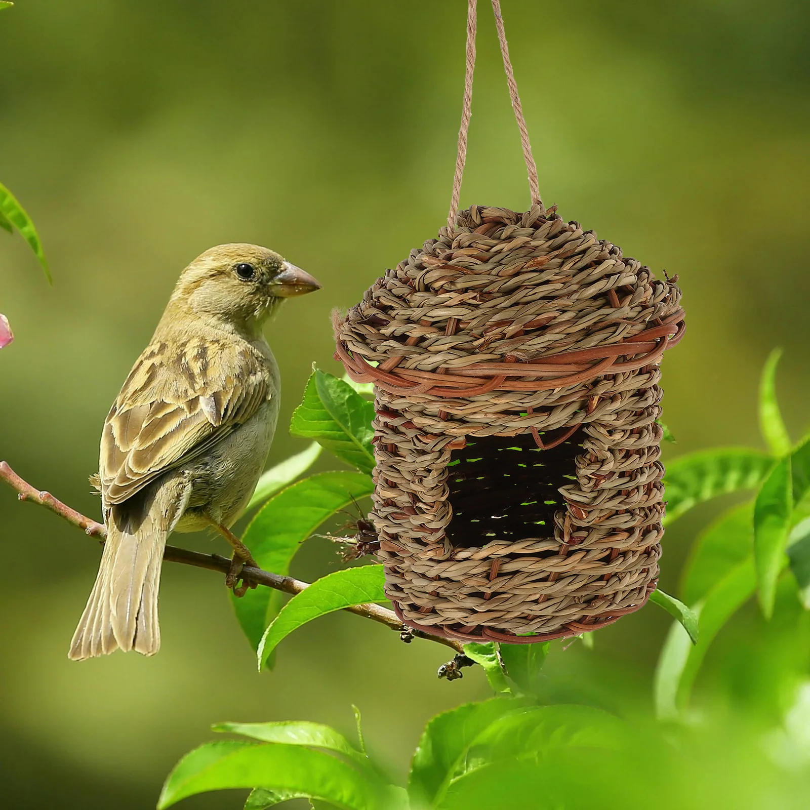 

Straw Bird Nest Hand Woven Decorative Grass Ornament Quail Cage Durable Natural Material Easy Maintain Clean Removable