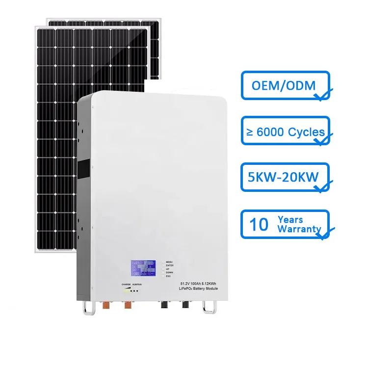 Power Wall Lifepo4 Battery 48V 100Ah 200Ah 5Kw 10Kw Lithium Powerwall For Home Energy Lithium Ion Lifepo4  Battery Pack