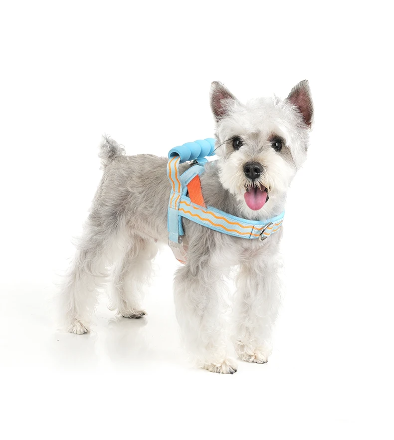 Comfortable Padded Dog Harness For Walking And Lifting Outdoor_voghion.com