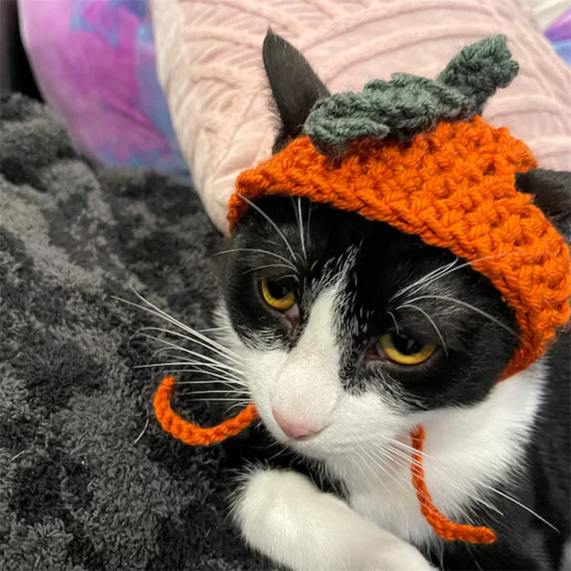 Handmade crocheted cute cartoon pumpkin Elastic Woven Cap Pet Hat Puppy Kitten Headwear Party Photo Shoot Props Decoration Cat