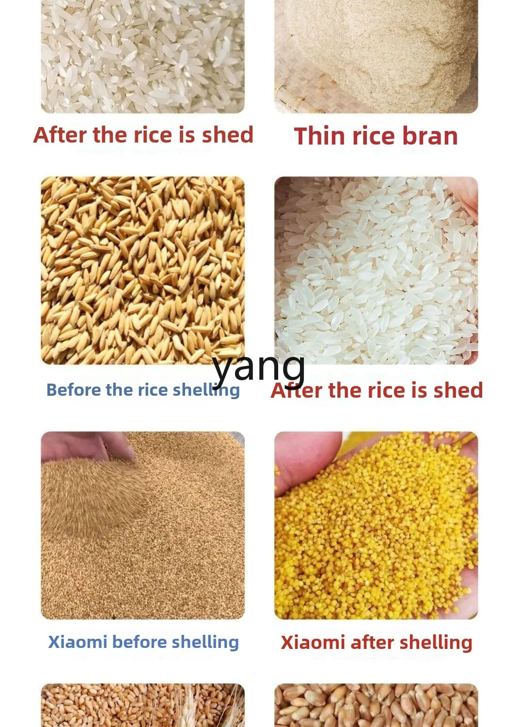 CX automatic new Jinsong rice machine household 220V rice grinder peeling machine