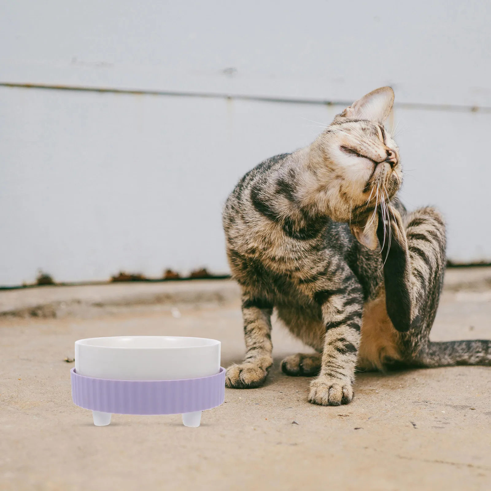 

Thermostatic Pet Bowl For Cats And Dogs Heated Water Bowl For Indoor And Outdoor Use Winter Pet Bowl Round Pet Bowl 350ml