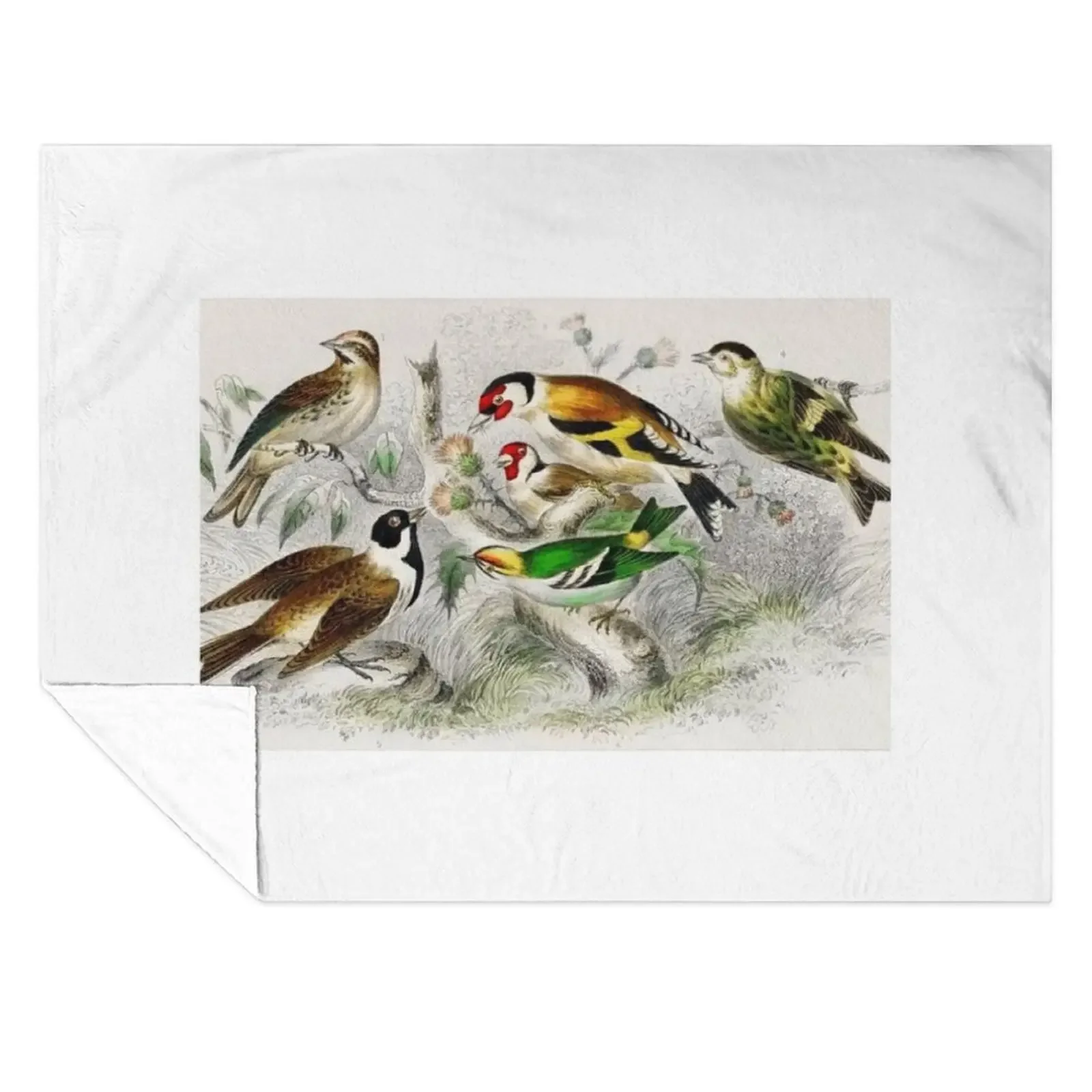 

Goldfinch Bird Throw Blanket Bed Nap Luxury Designer For Decorative Sofa Blankets
