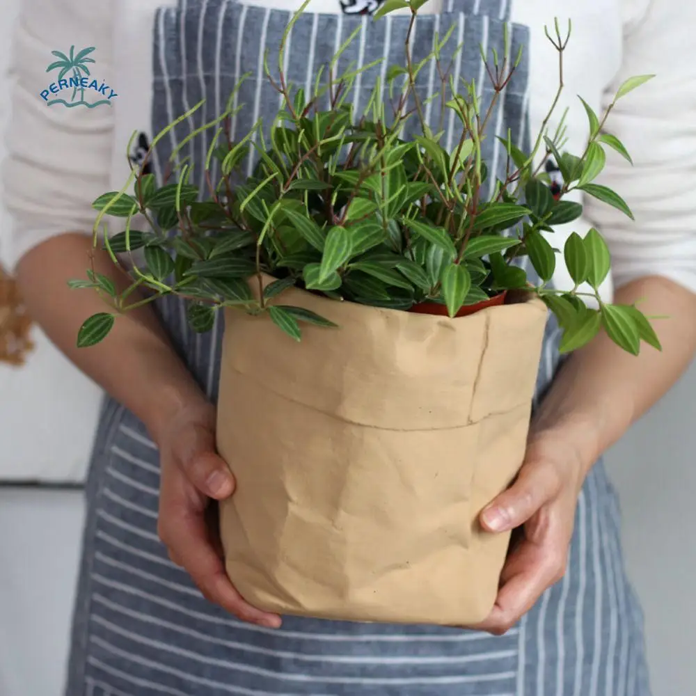 

Creative Imitation Paper Bag Flowerpot Handicraft Cement Vase Ornament Simulated Hydroponic Flower Holder Bedroom