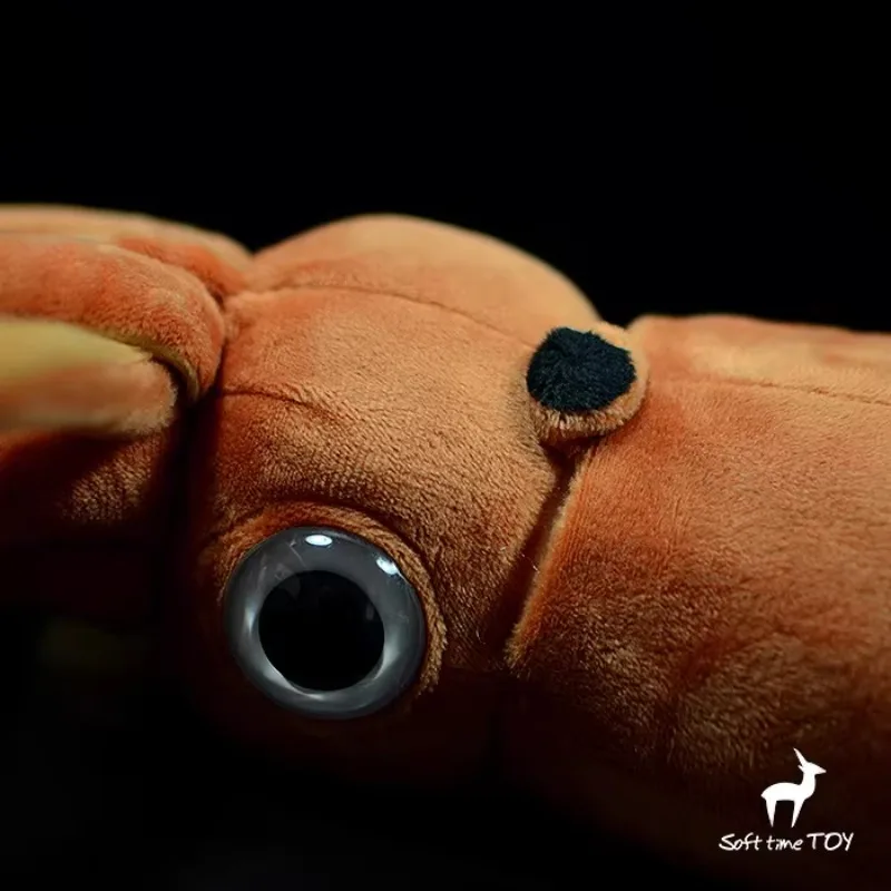 ZWY brand original king squid doll simulation cuttlefish doll plush toy gift