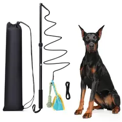 1 Set Dog Flirt Pole Retractable Teaser Rod Pet Interactive Wand Chasing Flirt Stick Cat Training Tool