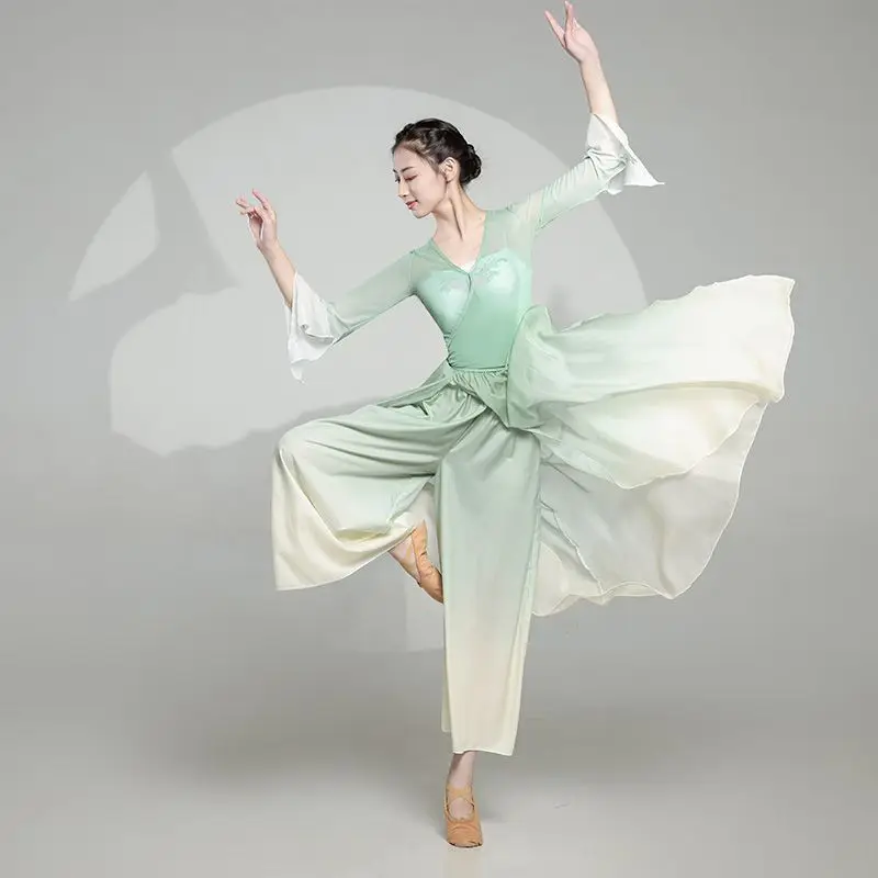 [Eleganza sfumata] Costume da danza classica, Costume da pratica di danza cinese, Costume da ballo, Figura aggraziata da donna, Elastico